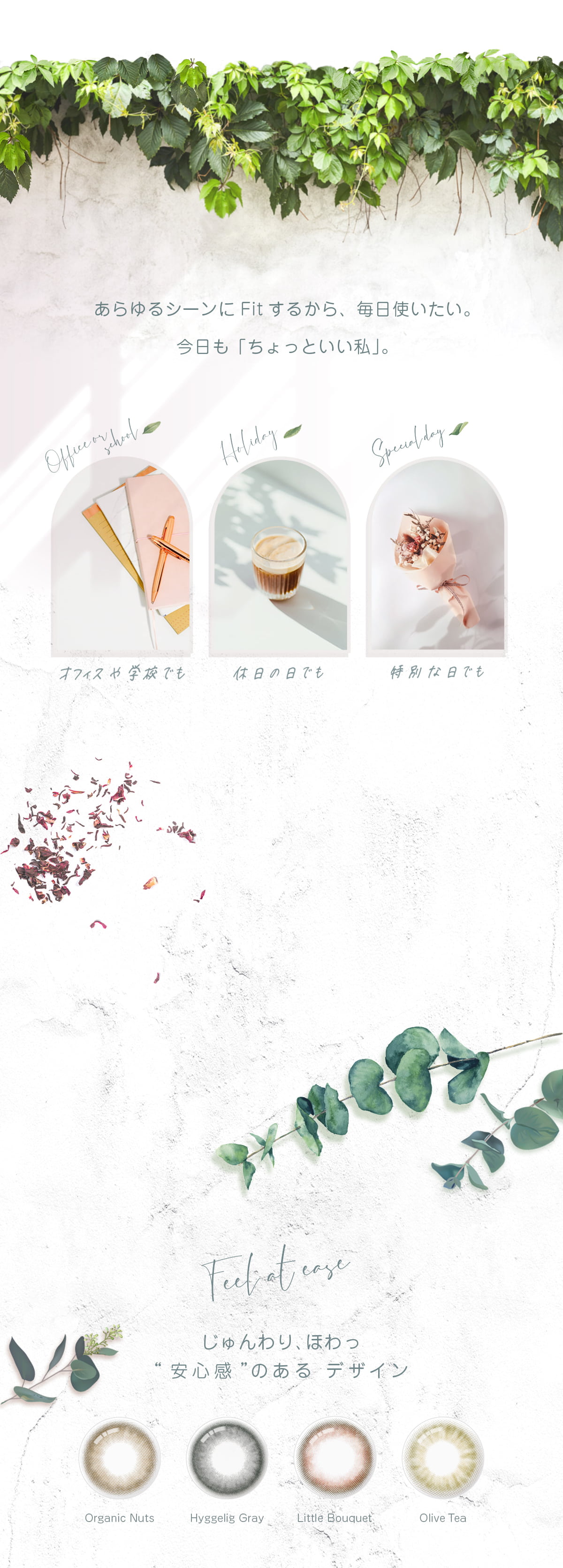 eeze ビジュアル 2